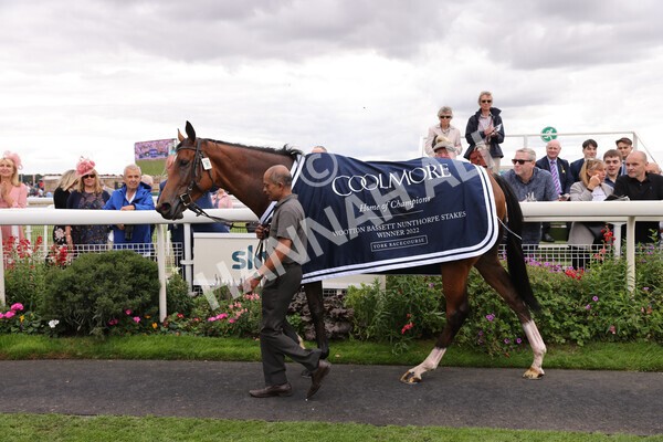 yr19082022r4-121 - Race 4 3.35pm Coolmore Wootton Bassett Nunthorpe Stakes (British Champion Series Race)