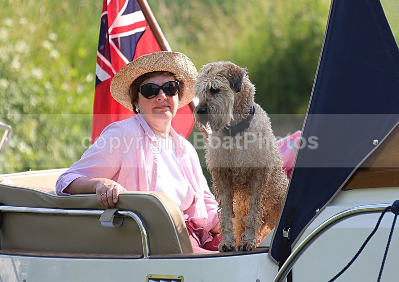 130706 DART BLUE WT7A2398 - HENLEY ROYAL REGATTA - Saturday 6th July 2013
