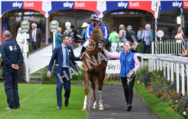 230825-262 Revival Power - Race 6 4.45pm Julia Graves Roses Stakes