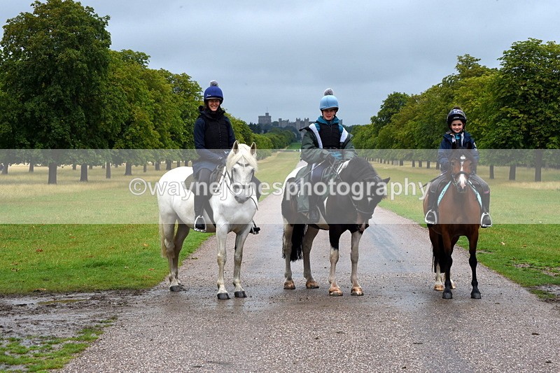 TT3_8686 - Time at Crossing 11:44 to 12:54