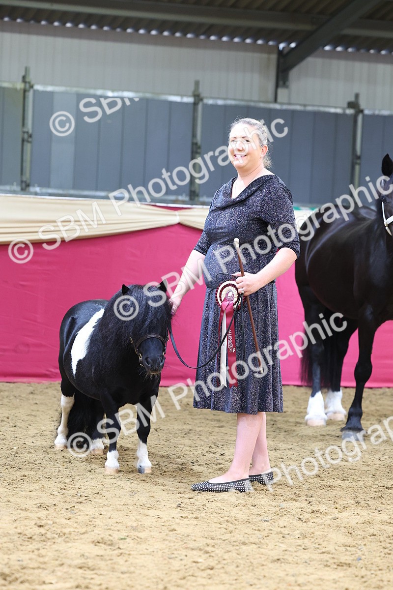 SBM_22965 - Class 903 - Supreme Final - IH Pre Vet