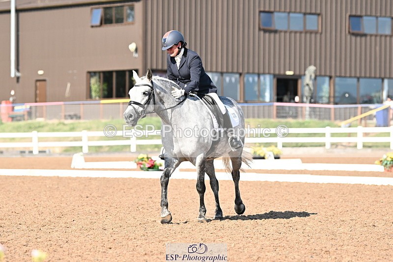 240816A-164358-06257 - 226-Sonya.Fitch-Peyton-THE.GREY.SWALLOW