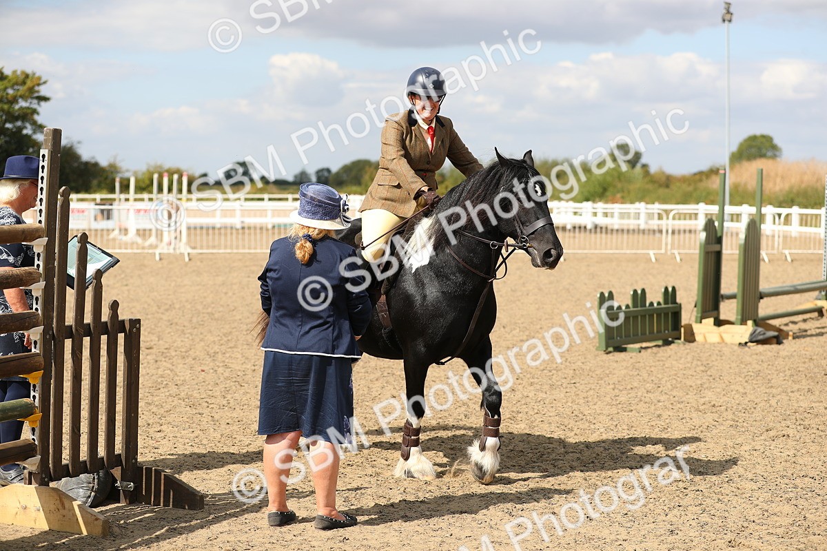 SBM_04254 - Class 46a Style & Performance 50cm (15-19)