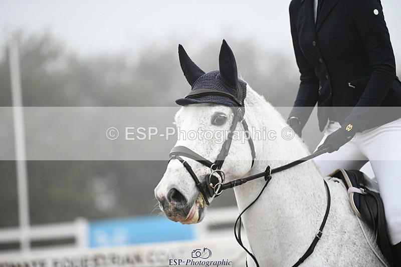 241103A-131900-08218 - SUN Cls 22 Blue Chip Performance Champ Q and Open