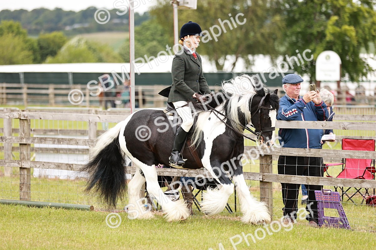 SBM_06131 - Class 39-41 TGCA In Hand and Ridden