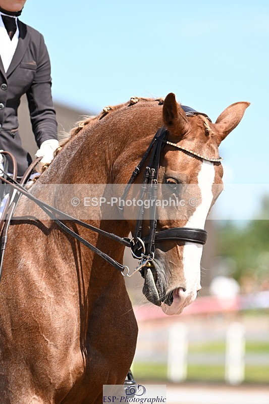 240816A-132104-05036 - 113-Ruby.Gumbley-Nova's.Golden.Dream