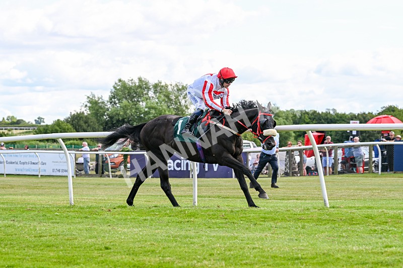 090725-Race 5-Cosmic Soul-3472 - Race 5