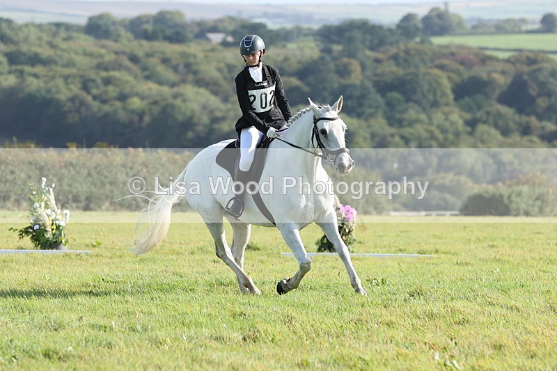JPP_7868 - Class 2A: Trekenning Open: Dressage