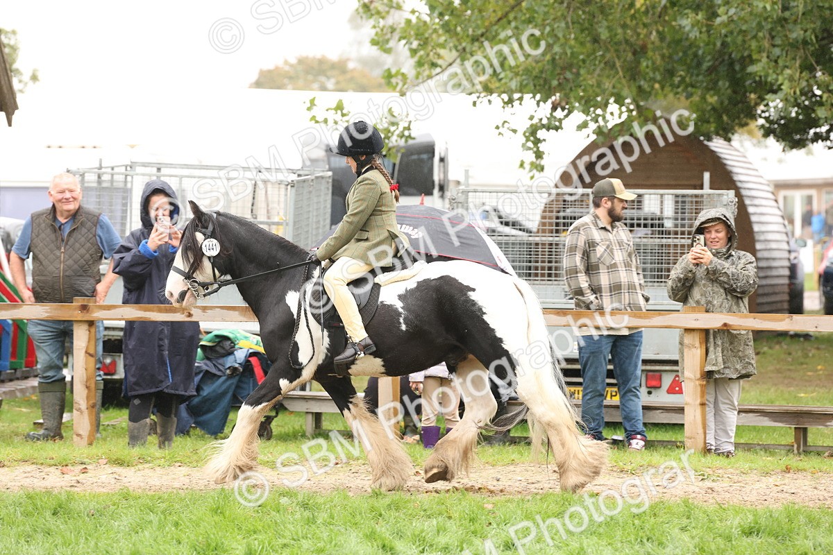 SBM_72762 - S70 - Traditional Cob Ridden