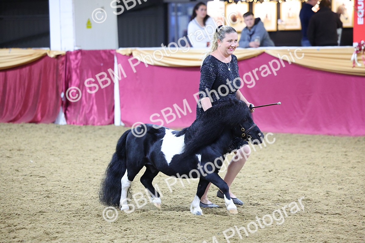 0B8A4428 - Class N M&M Champ