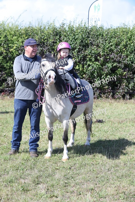 20250831-3174 - Class 24 - Absolute Beginners Pony
