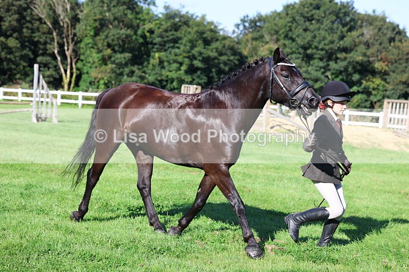 3E7A7686 - Class 1: Novice Working Hunter Pony