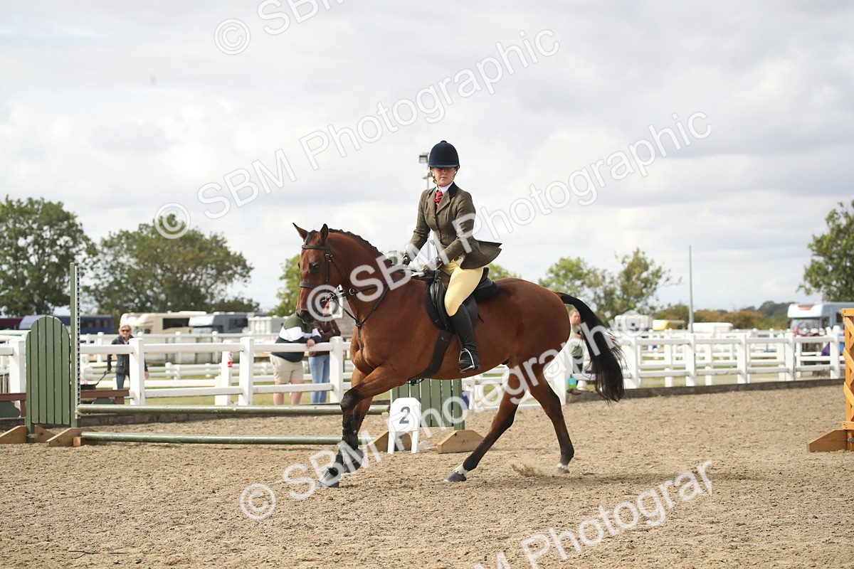 SBM_15211 - Class 506a - Working Veteran - 50cm (15-19)