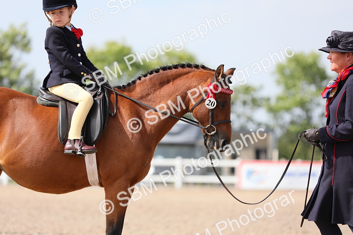 SBM_14050 - Class 309 Lead Rein Pony