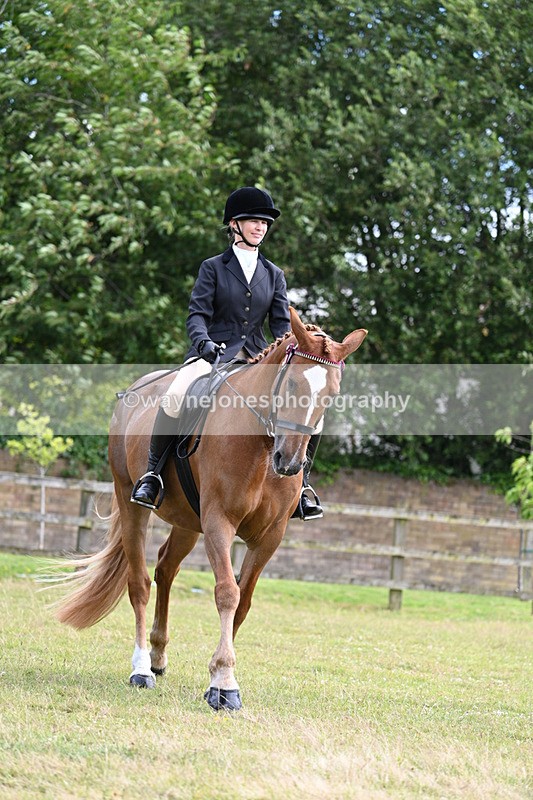 WJ7_8346 - Class 7  Riding Club Show Horse