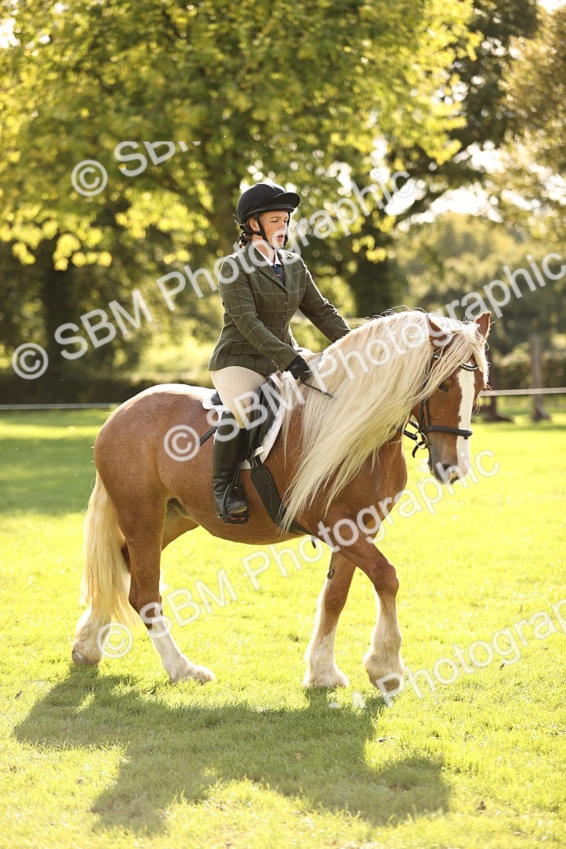 SBM_26413 - S6 - Novice & Newcomers Ridden Horse