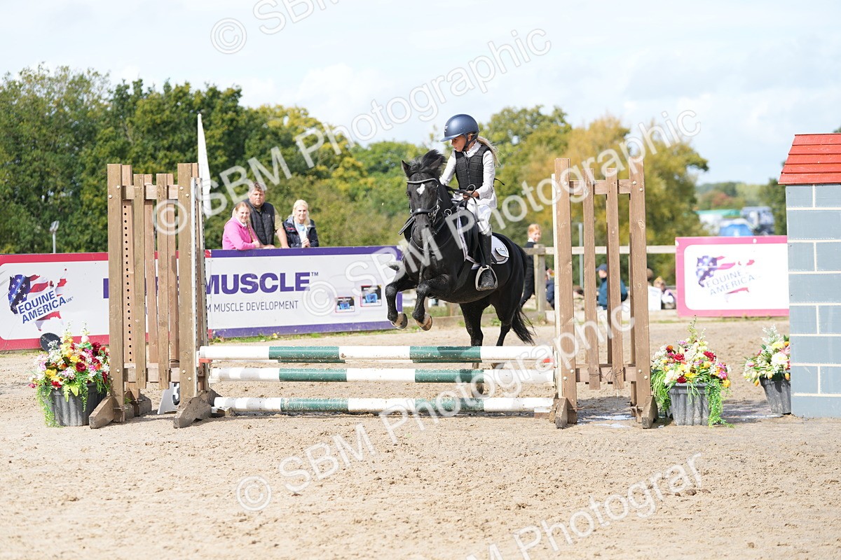 SBM_40763 - Supreme Championship Pony 50-55cm