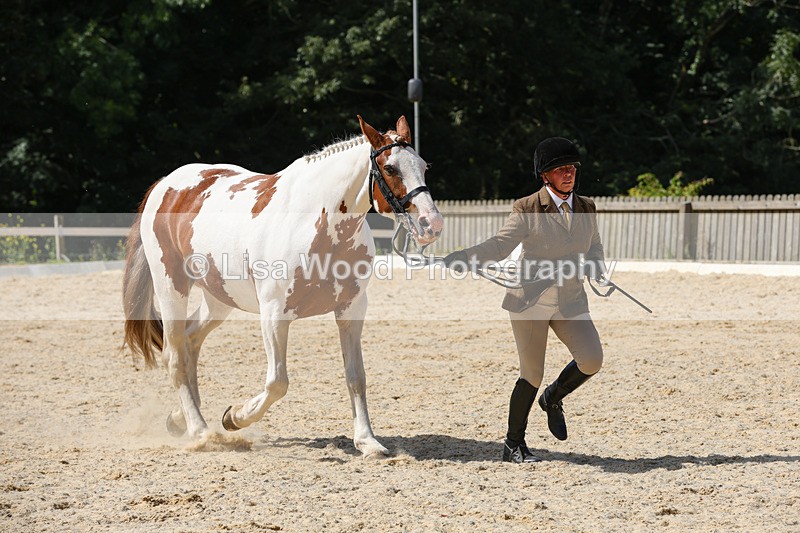 1X9A8291 - Class 12: Coloured Ridden