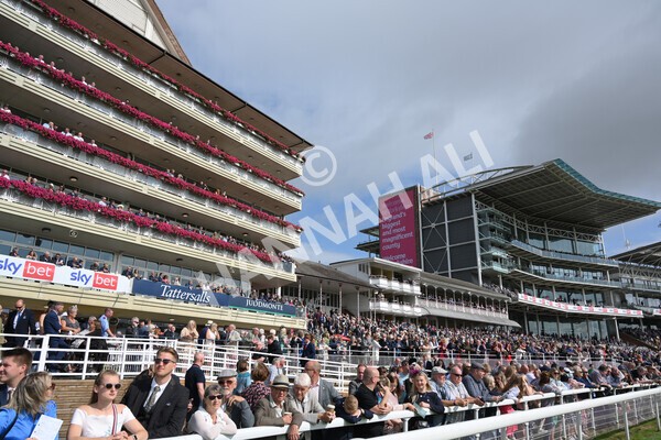 yr18082021r4-60 - Race 4 3.35pm Juddmonte International Stakes (British Champion Series race)