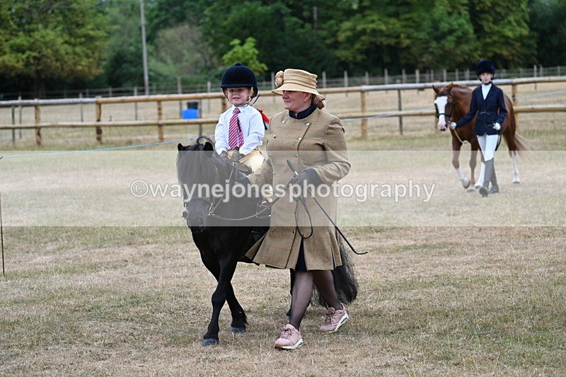 WJ7_7990 - Class 4 Prettiest Mare up to 14.2hh