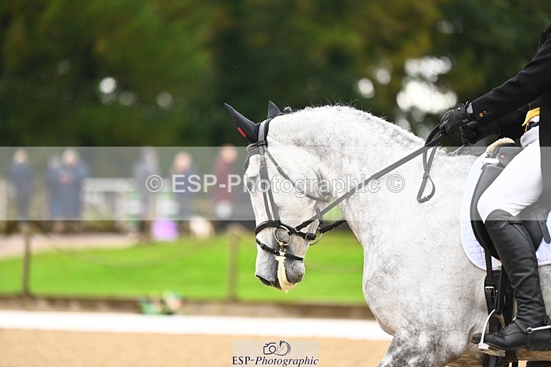 231021-122327-15124 - 348-KILMINGTON.FOLLY-Gubby.Leech-DR