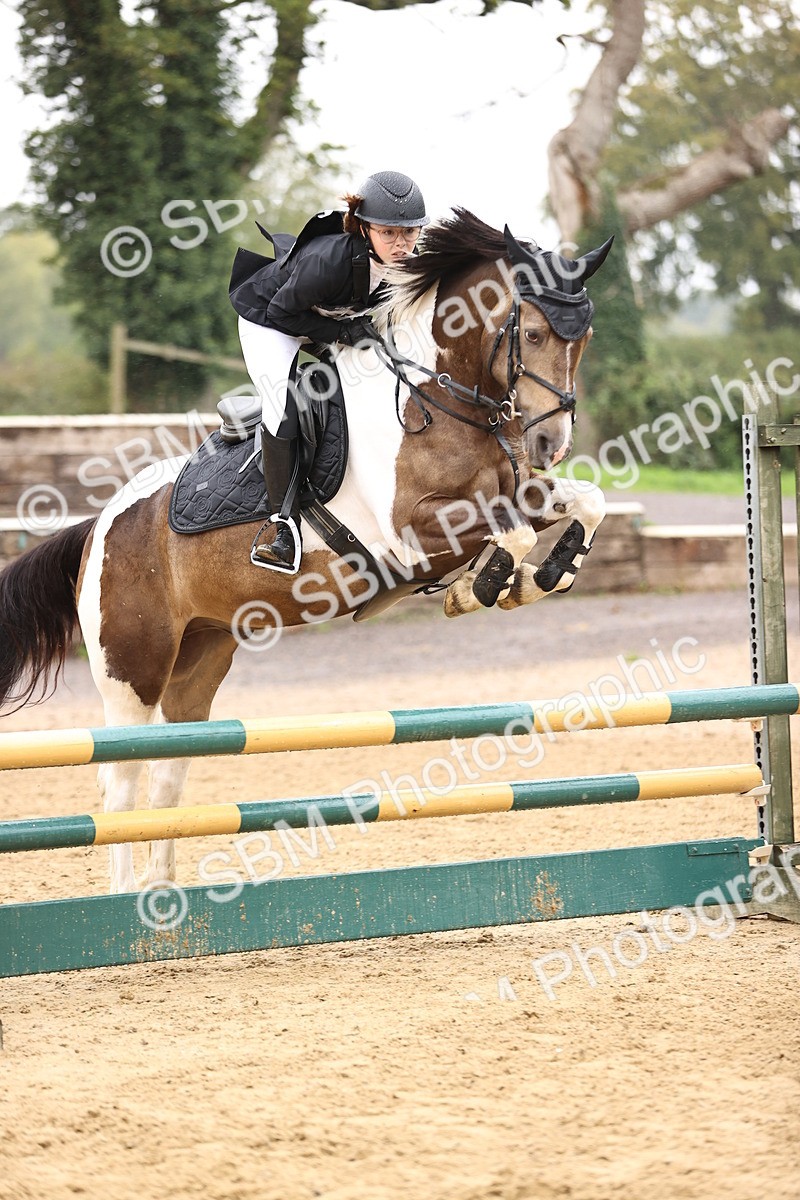 SBM_69998 - Supreme Championship 80cm 85cm