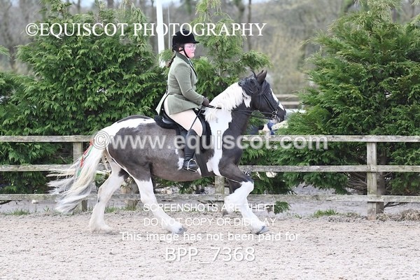 BPP_7368 - RING 1  (RIDDEN HORSES / IN HAND / VETERAN ETC)