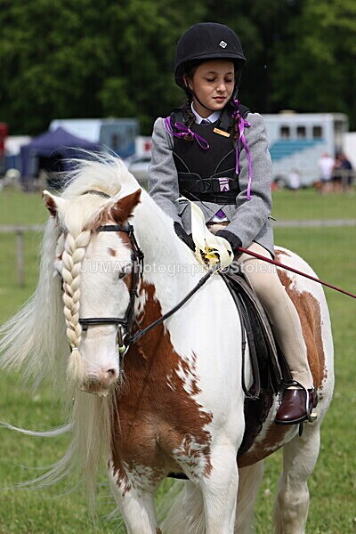 IMG_2732 - Working Hunter