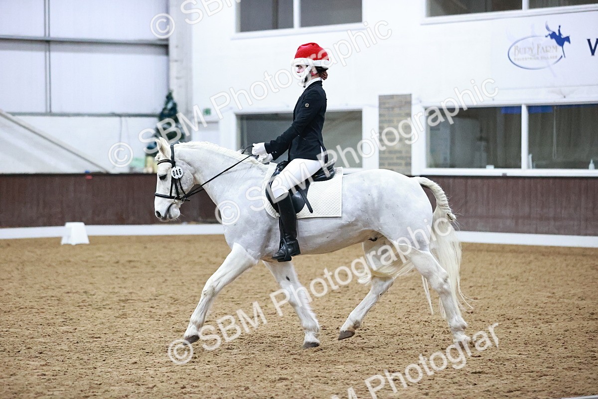 SBM_001125 - Class 7-10 - Novice 1 - Elementary 1