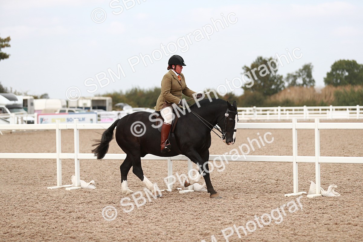 SBM_16690 - Class 214 Ridden Cob