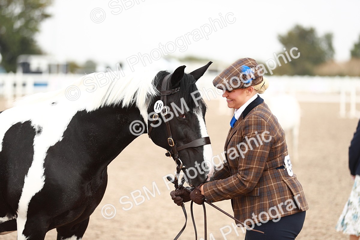 SBM_11832 - Class 206 IH Non Show Type Pony