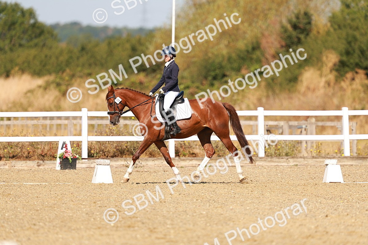SBM_017627 - Class 9 - N5 Bronze 10.33.11.36