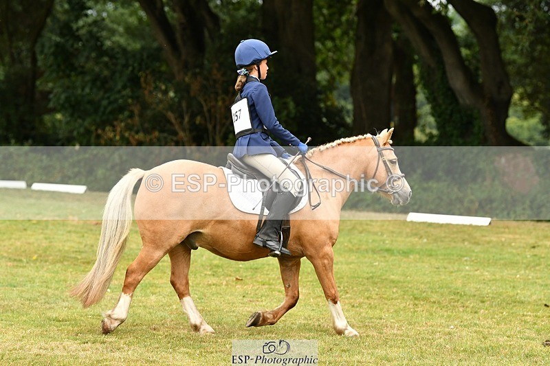 250820A-125750-05711 - 12 to 13.00