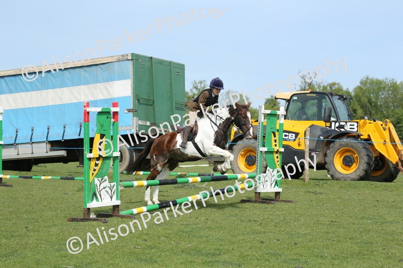 20260426-1595 - Class 14 - Novice 60cm