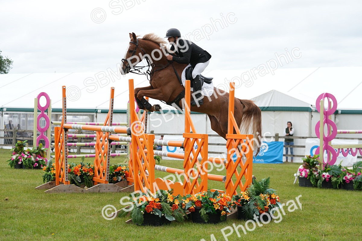 SBM_03217 - Class 201 - British Horse Feeds Speedi Beet Horse of the Year Show Grade  C
