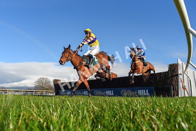 270224-Race 3-Chase A Fortune-6057 - Race 3