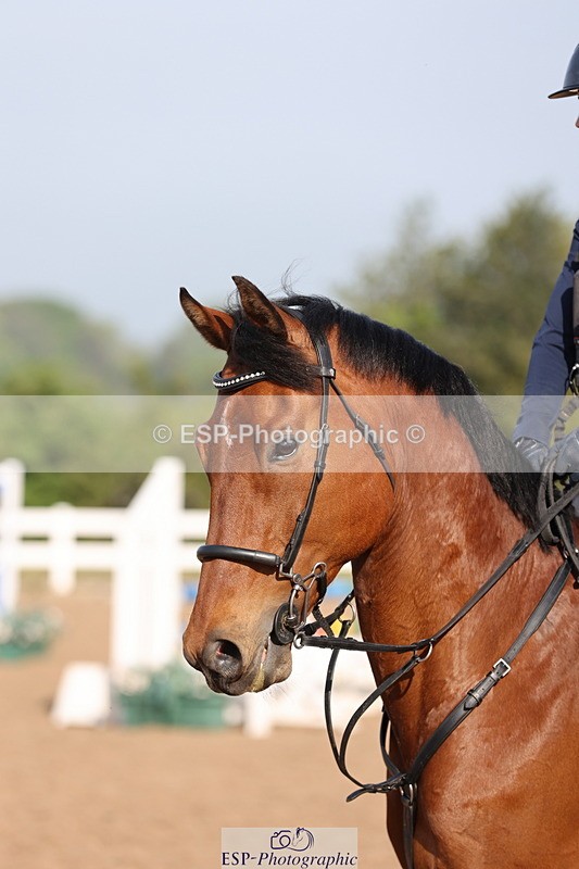 240510A-084102-04356 - Cls 13 British Novice and 90cm Open