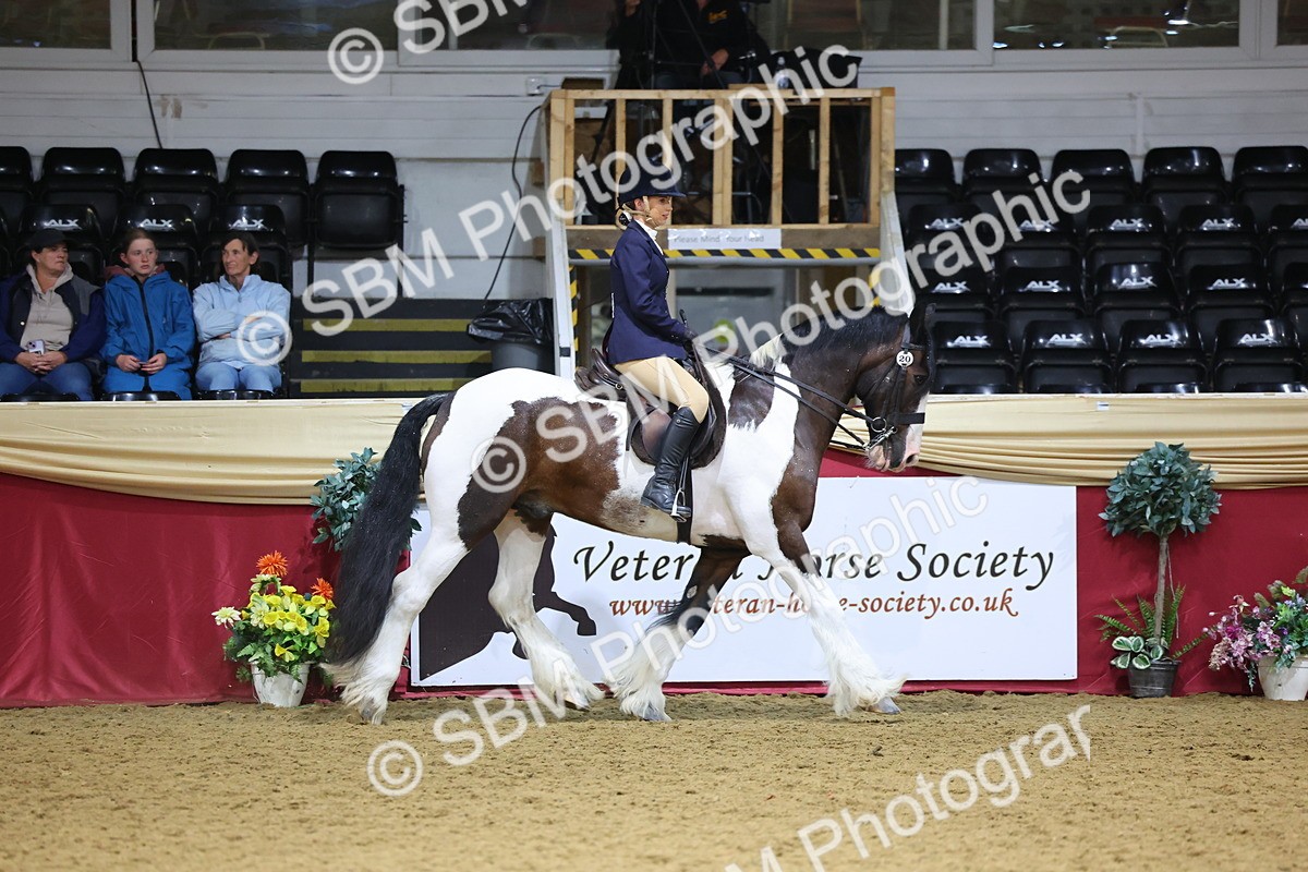SBM_18563 - Class B Junior Champ 11-16 years