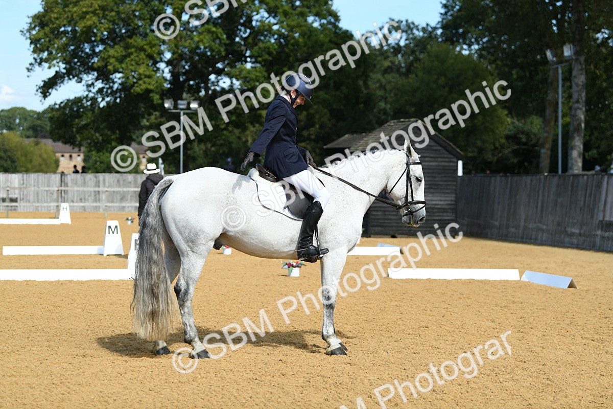 SBM_22503 - D13 - Grand Tour Championship - Prelim 12