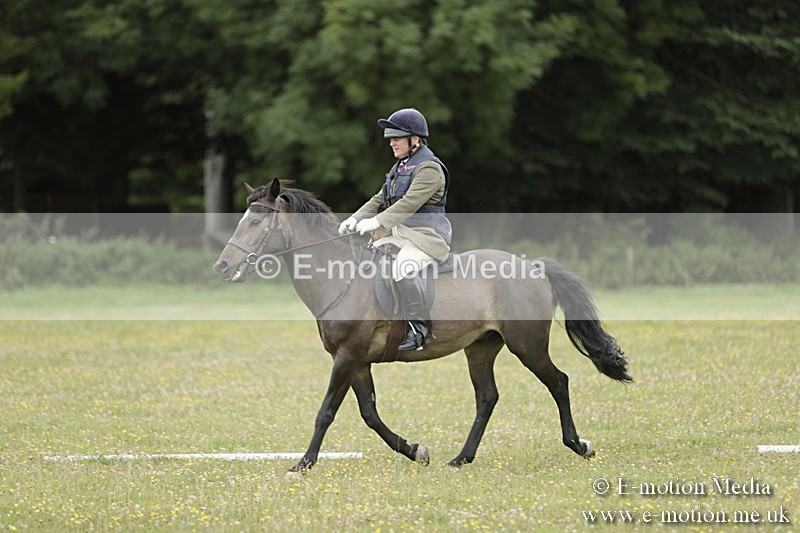 BVR160717-698 - Class 1 & 23a Dressage 16/07/17