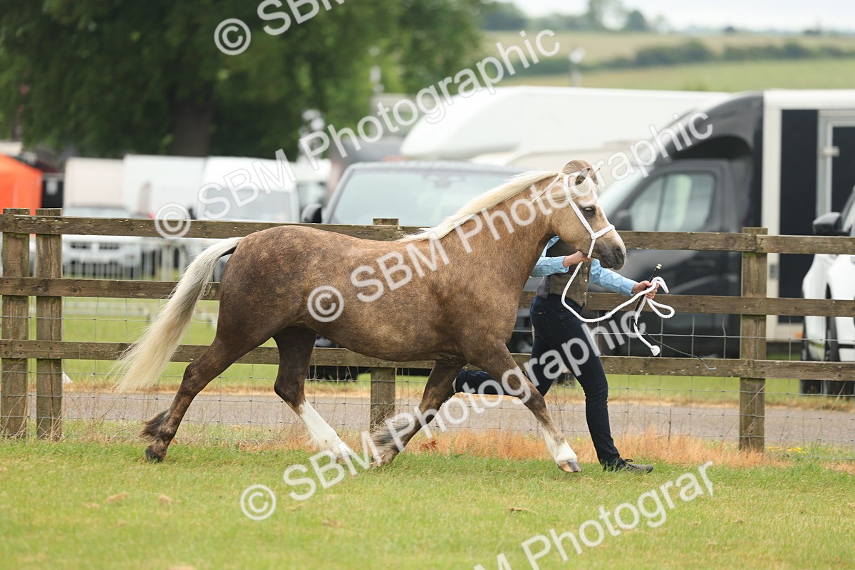SBM_01539 - Class 50-57 - M&M Welsh Pony In Hand