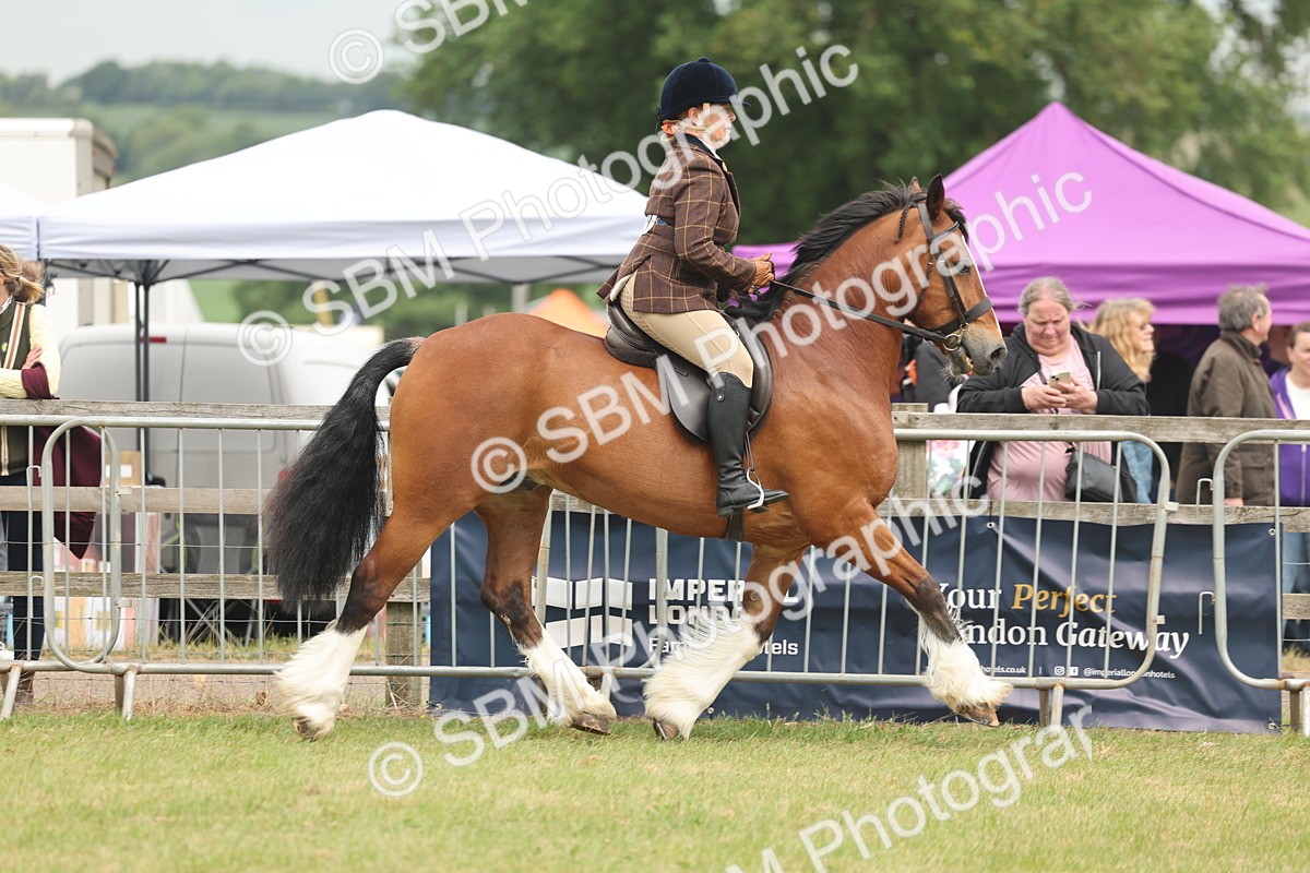 SBM_07179 - Class 76-77 - Ridden M&M Welsh Ponies