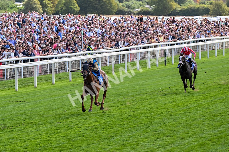 220826-Race 1-Archivist-0214 - Race 1 13.50pm Sky Bet Strensall Stakes