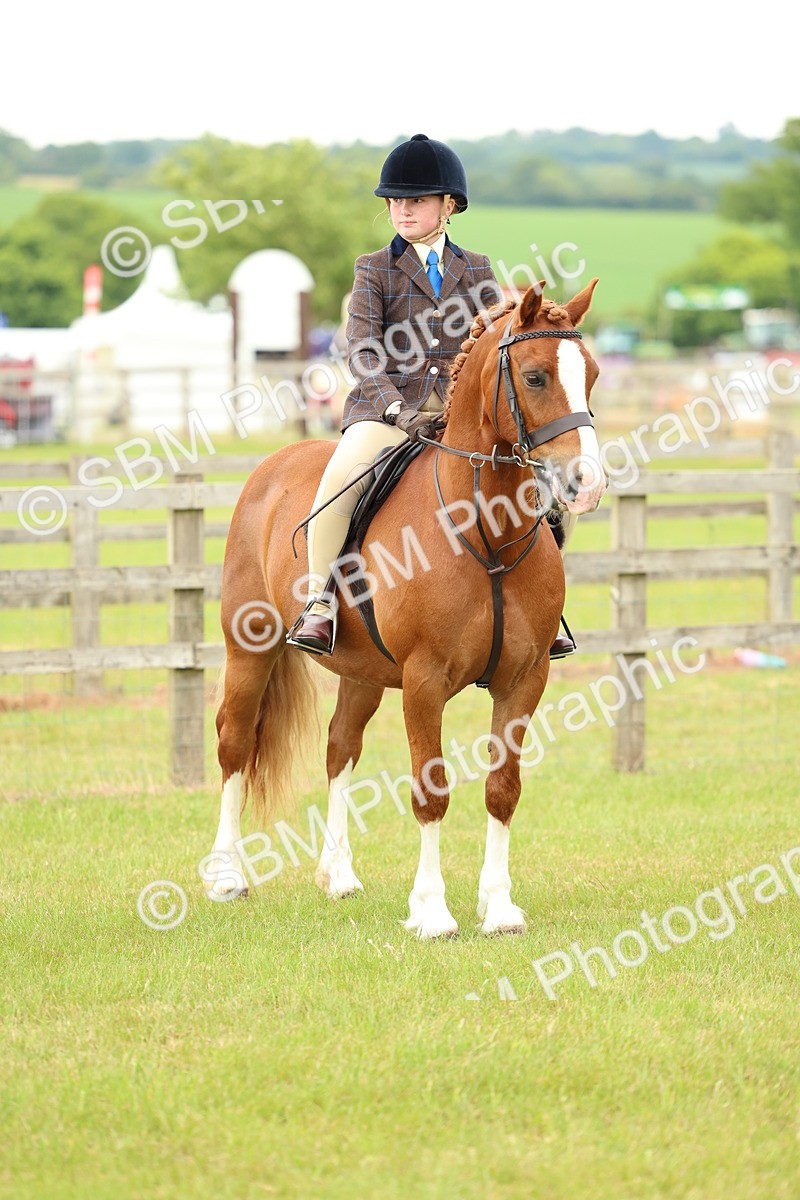 SBM_10383 - Class 44-45 - LIHS BSPS Open Nursery and Cradle Stakes