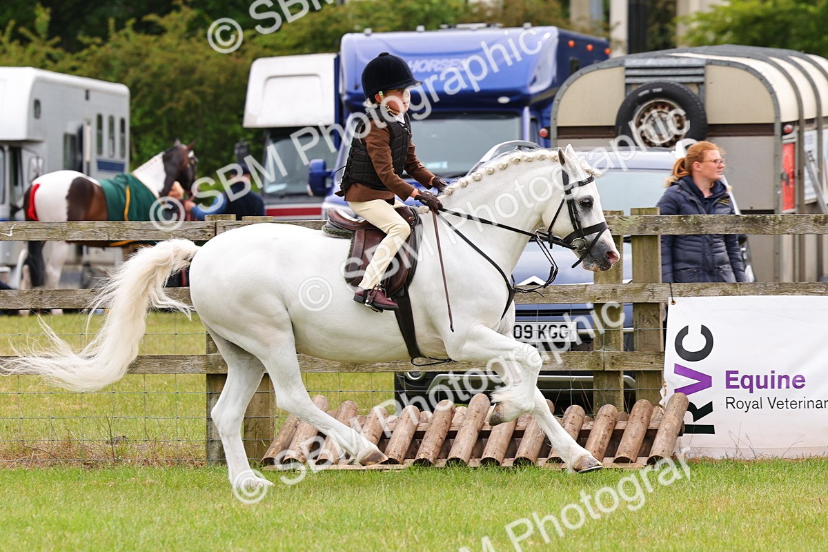 SBM_09535 - Class 44-45 - LIHS BSPS Open Nursery and Cradle Stakes