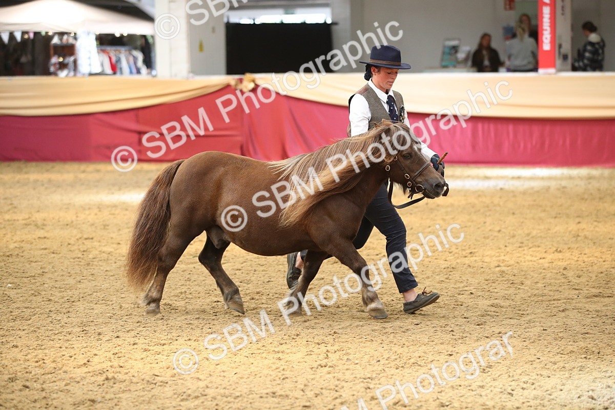 SBM_05322 - Class 8R - Regional IH Veteran