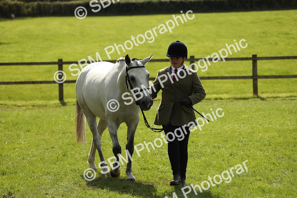 SBM_65592 - S48 - Show Pony & Show Hunter Pony In Hand