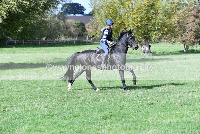 WJ5_8180 - Time 10:31 to 12:01