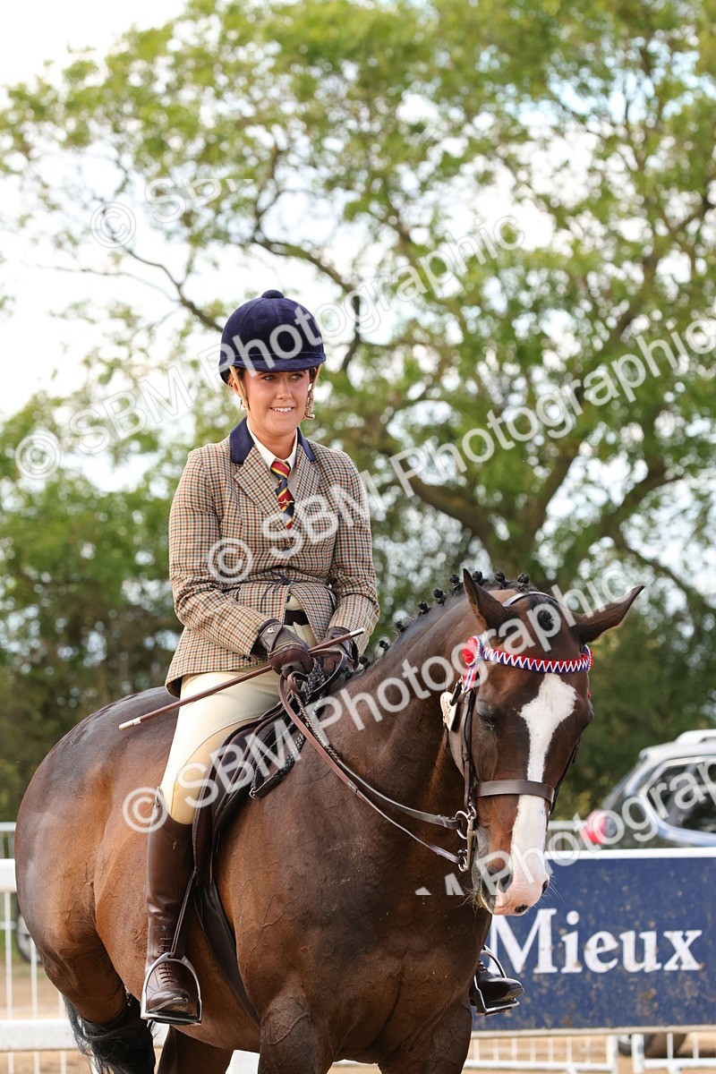 SBM_16275 - Class 217 - Ridden Retired Racehorse