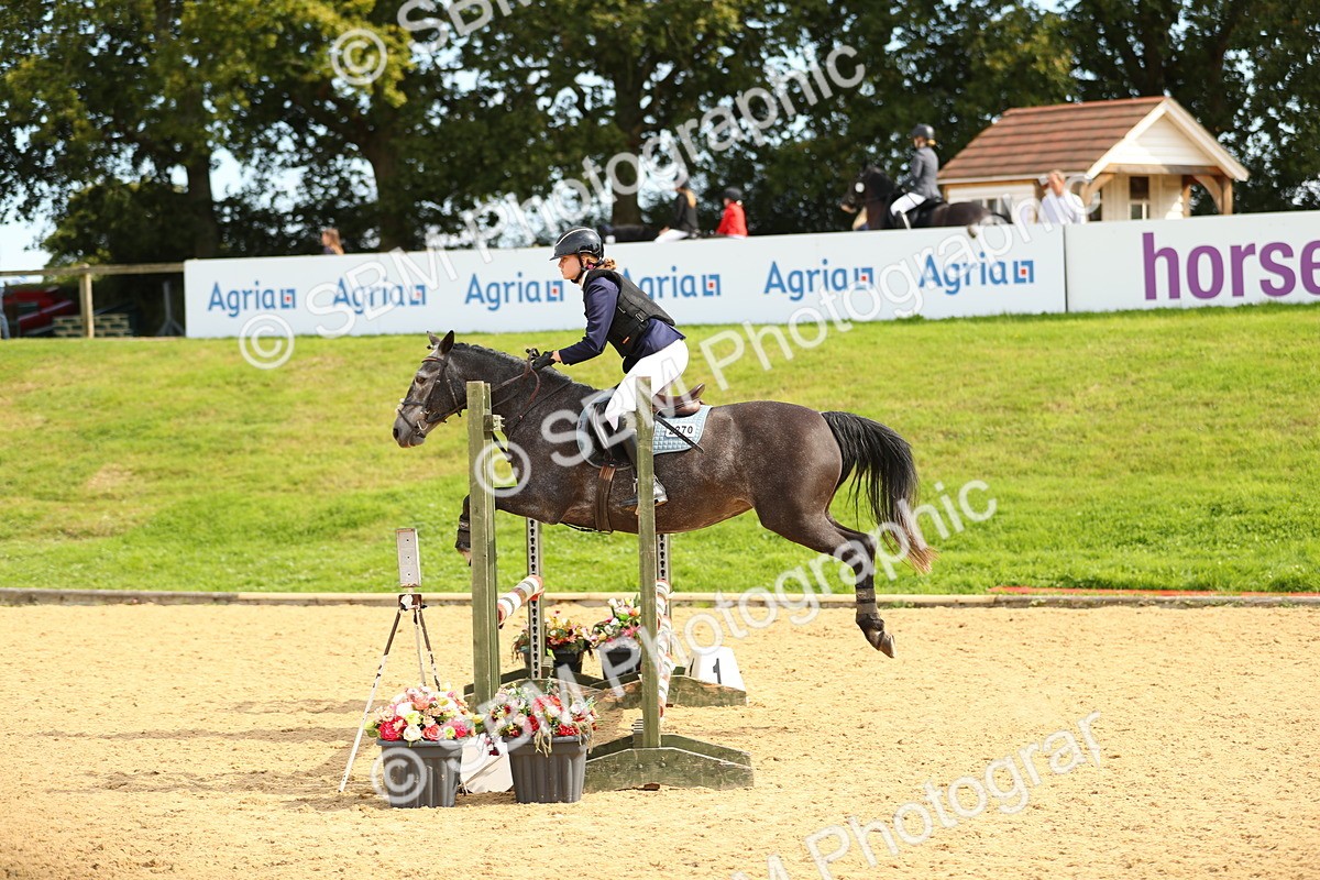SBM_66161 - J17 - Junior Pony 80cm Championship